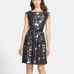 Eliza J Black/Silver Brocade Dress Size 2